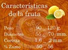 Okitsu - Características de la fruta