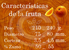 Washington Navel - Características de la fruta